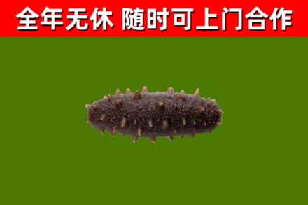 金林区烟酒回收干海参.jpg